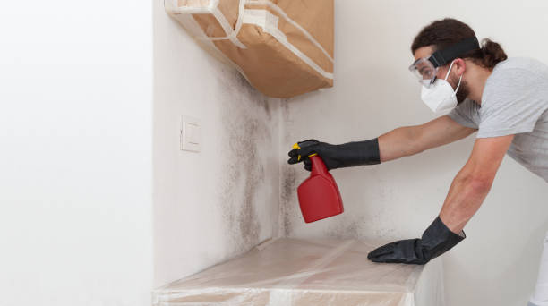 Professional Bathroom Mold Removal technician working in Sanford, VA