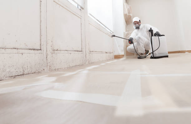 24/7 Emergency Bathroom Mold Removal experts in Sanford, VA